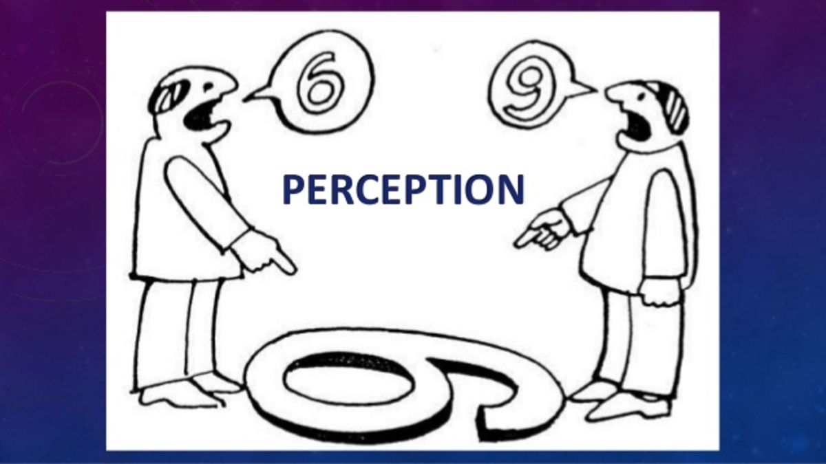 discovering psychology sensation and perception guide